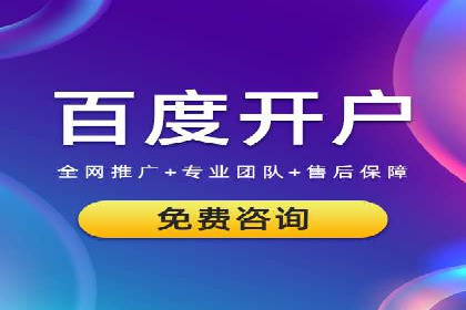竞价广告与自然搜索的结合策略：XX网站的案例分析